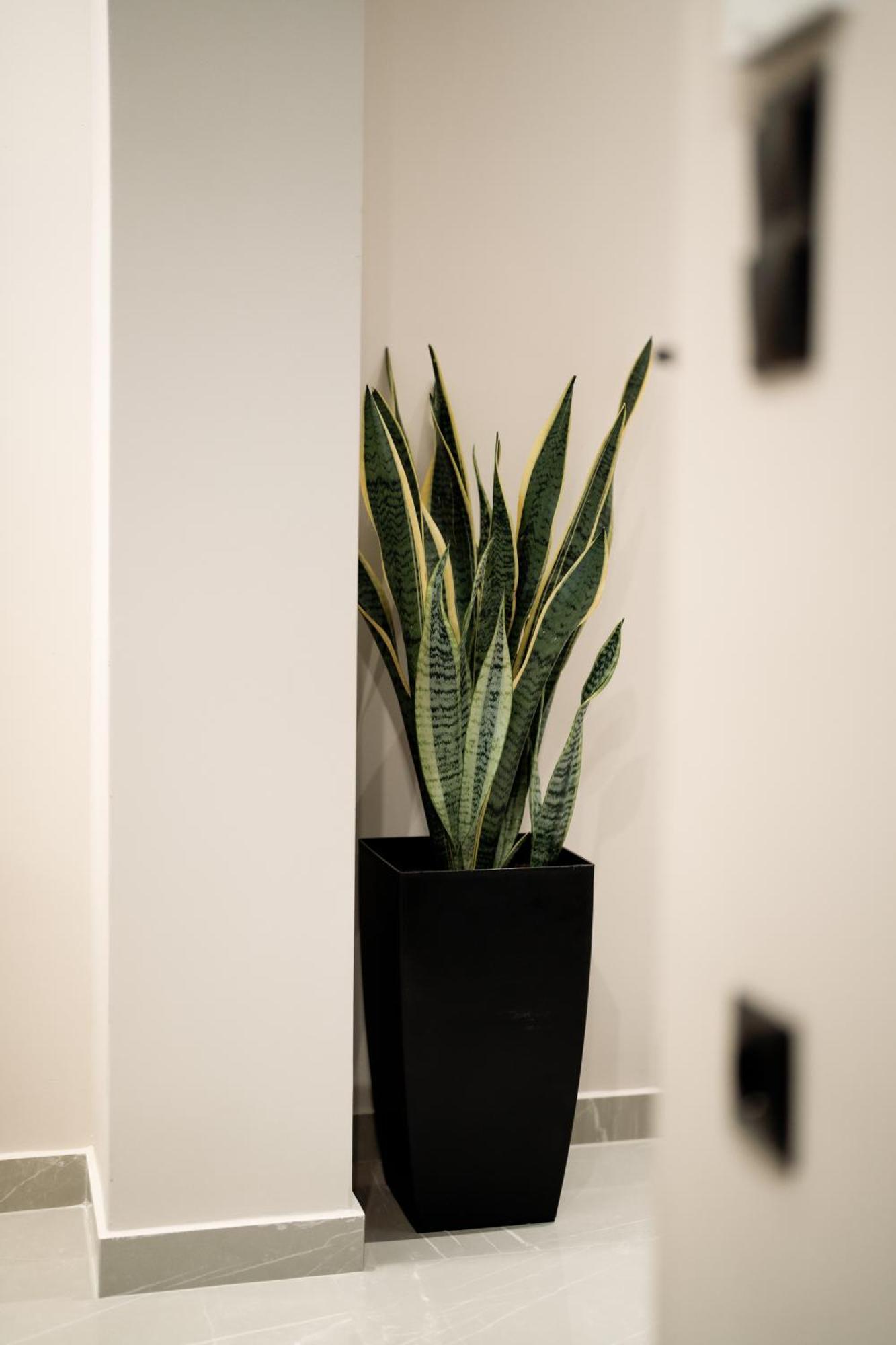 Elegance Lofts Kavala公寓 外观 照片